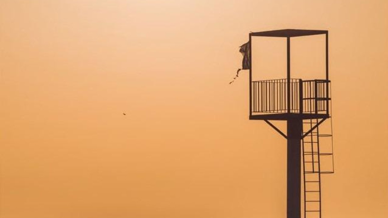 Новое здание - Apartment - Almerimar