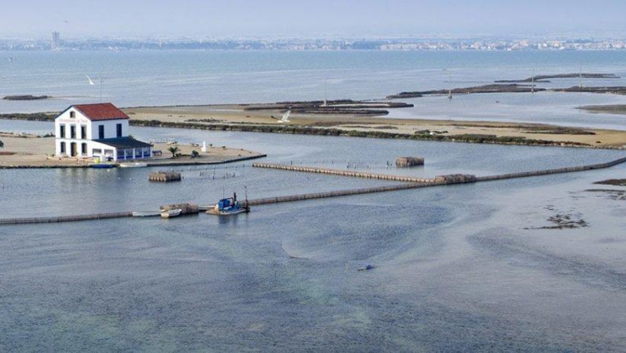 New Build - Villa - San Pedro del Pinatar - Centro