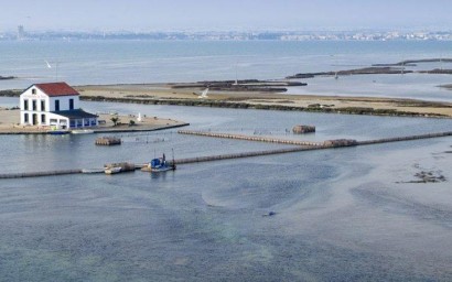 New Build - Villa - San Pedro del Pinatar - Centro