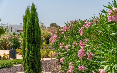 Obra nueva - Apartment - Orihuela Costa - Vistabella Golf