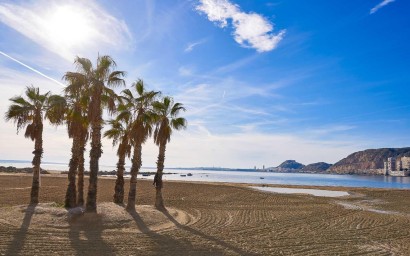 Новое здание - Villa - Els Poblets - Partida Barranquets