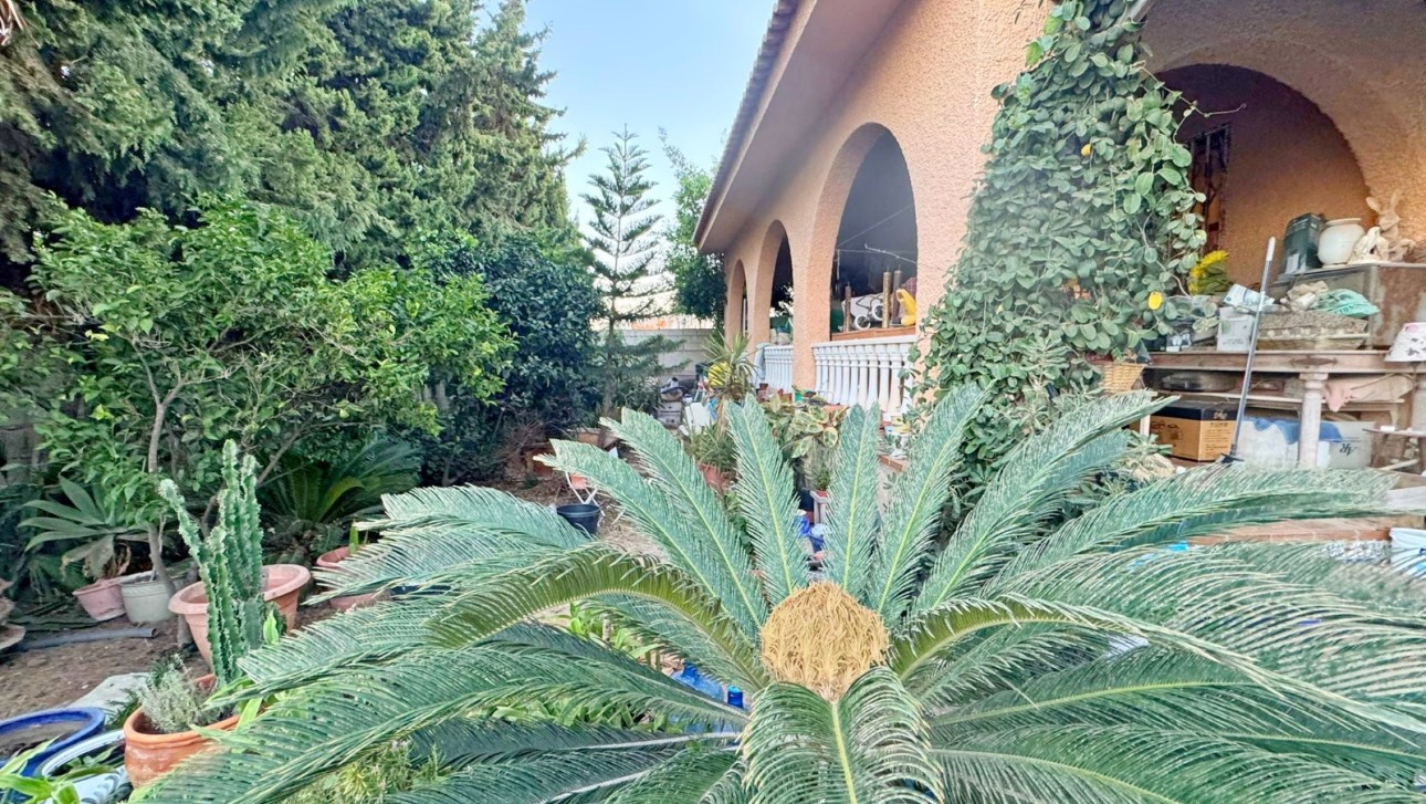 Revente - Villa - Torrevieja - Calas - norte ciudad