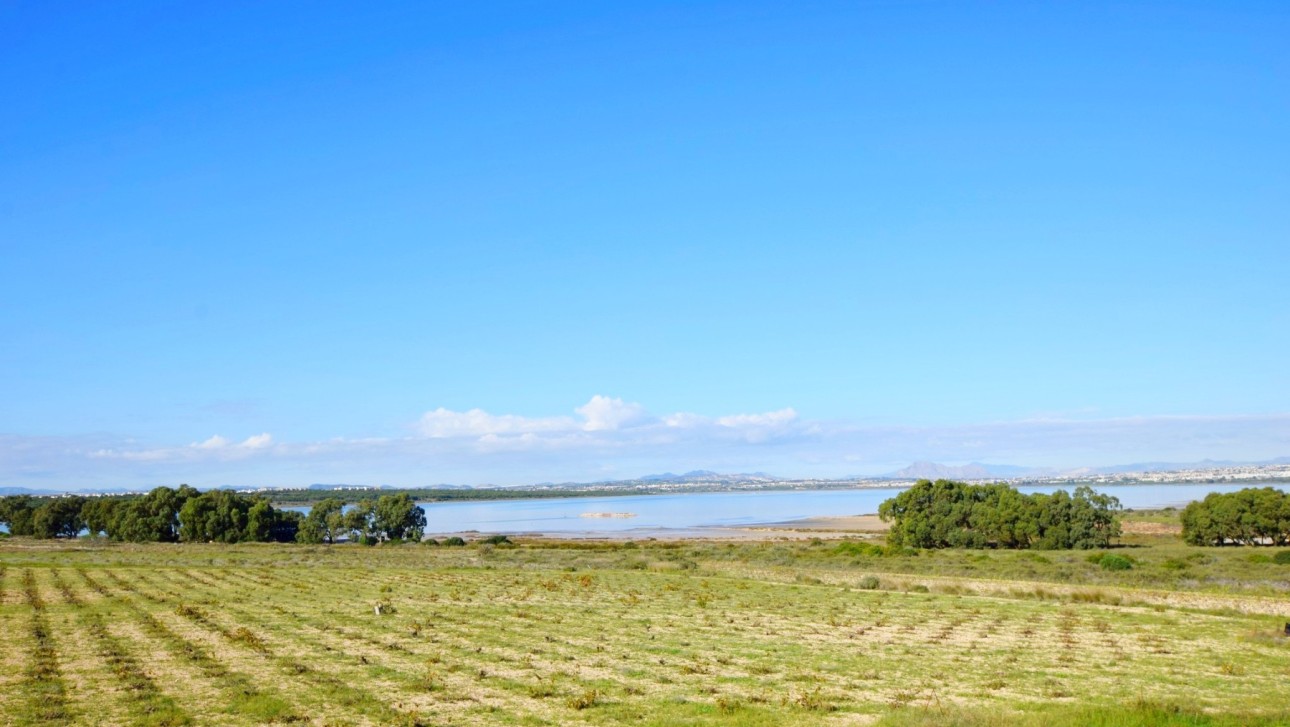 Revente - Villa - Torrevieja - Calas - norte ciudad