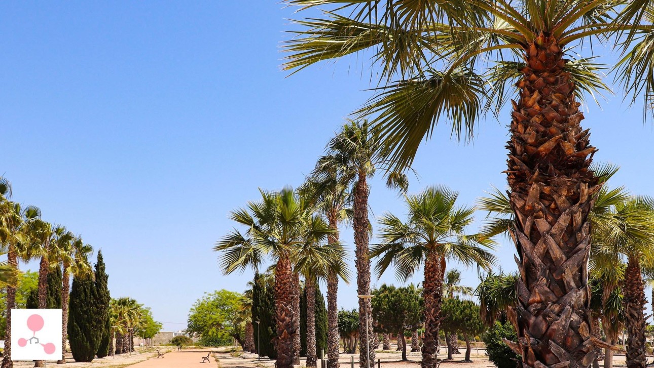 Новое здание - Villa - San Fulgencio - La Escuera