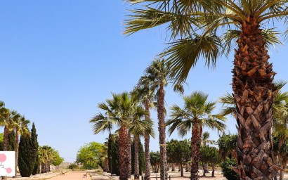 Новое здание - Villa - San Fulgencio - La Escuera