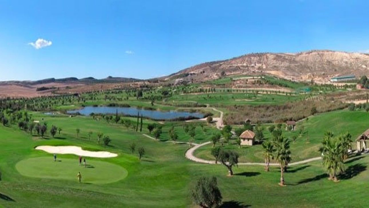 Nouvelle construction - Bungalow - Algorfa - La Finca Golf