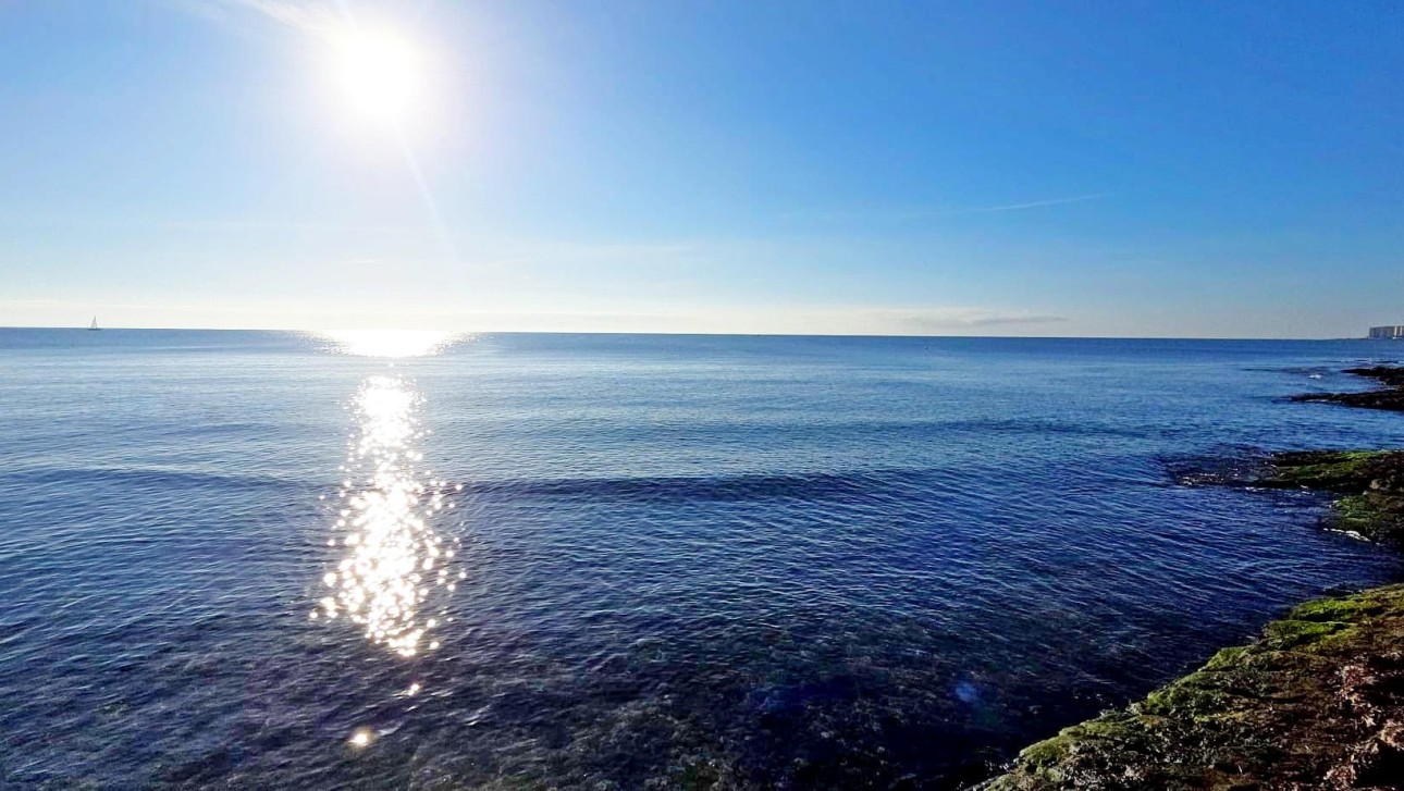 Herverkoop - Apartment - Torrevieja - Playa del Acequión