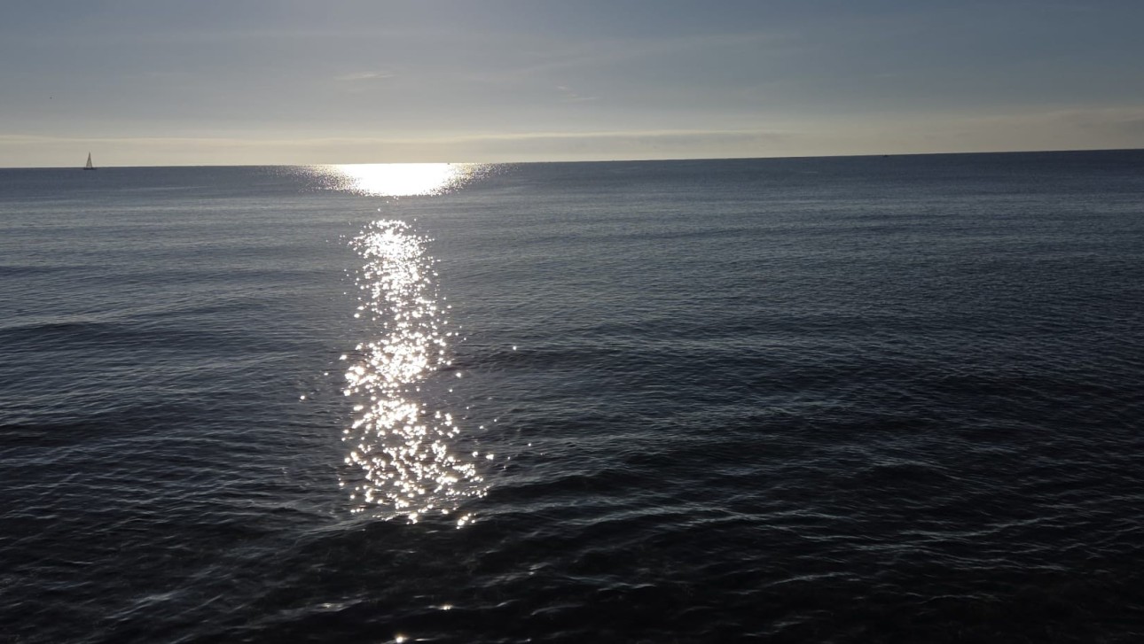 Herverkoop - Apartment - Torrevieja - Playa del Acequión