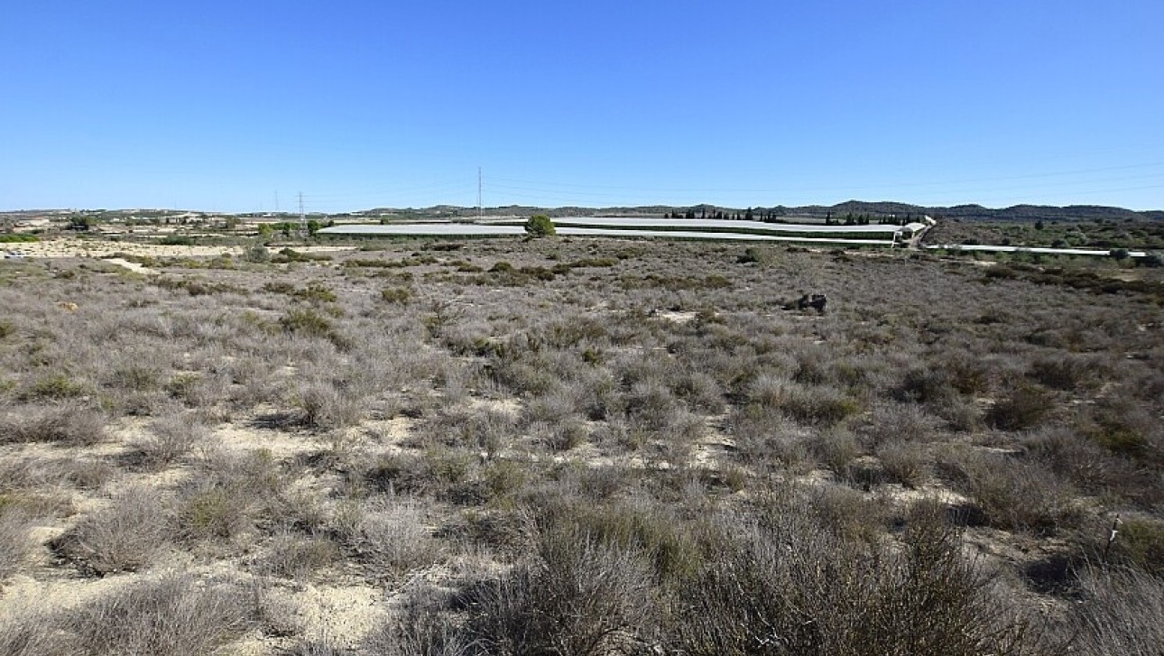 Reventa - Land - San Miguel de Salinas