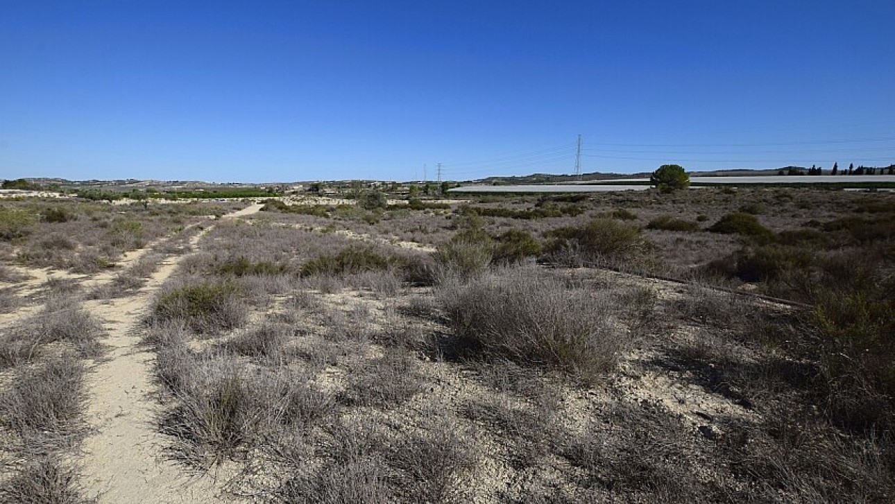 Reventa - Land - San Miguel de Salinas