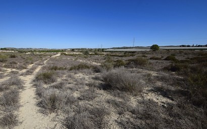 Reventa - Land - San Miguel de Salinas