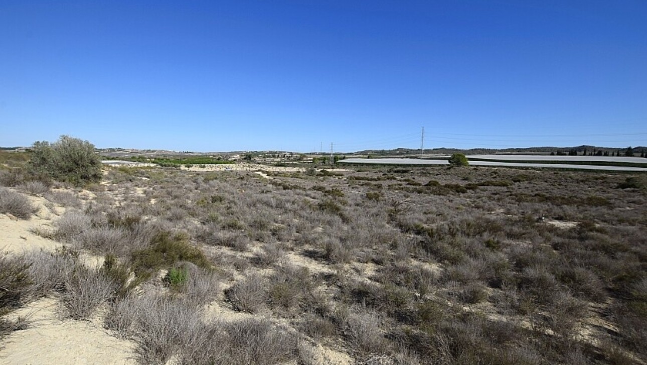 Reventa - Land - San Miguel de Salinas