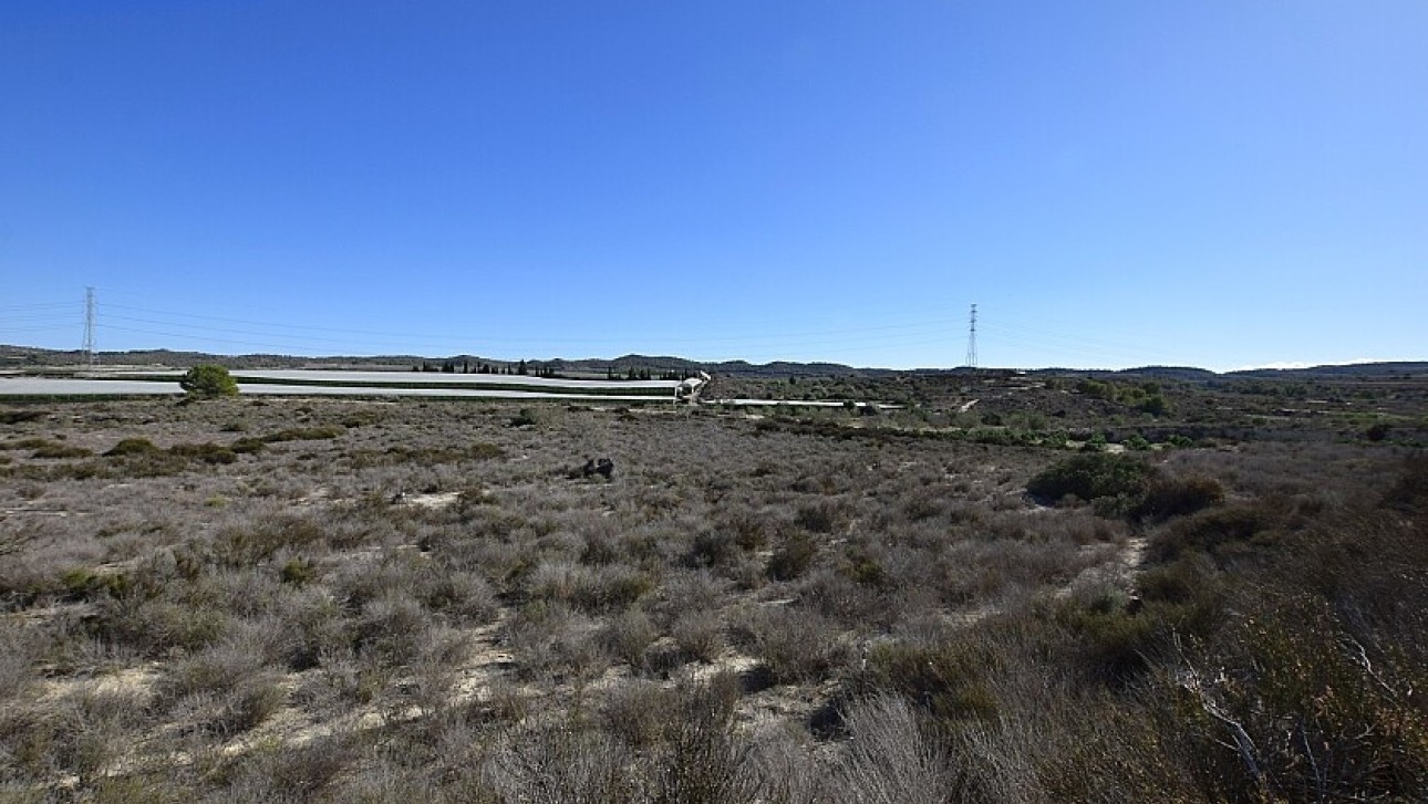 Reventa - Land - San Miguel de Salinas