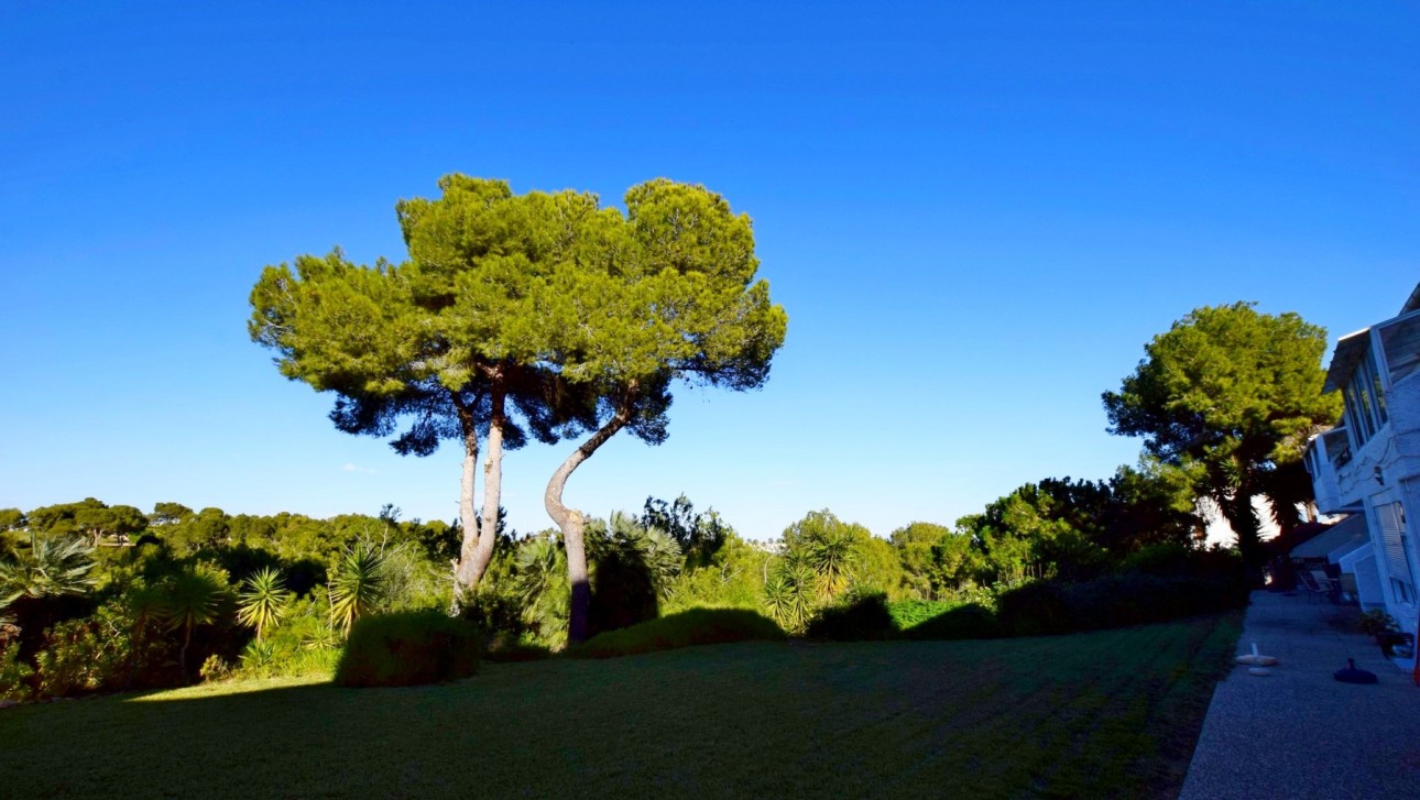 Herverkoop - Penthouse - Orihuela Costa - Villamartín