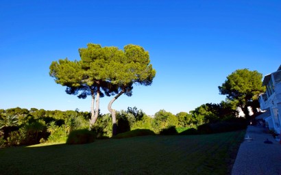 Herverkoop - Penthouse - Orihuela Costa - Villamartín