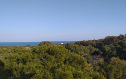 New Build - Apartment - Guardamar del Segura - Pueblo