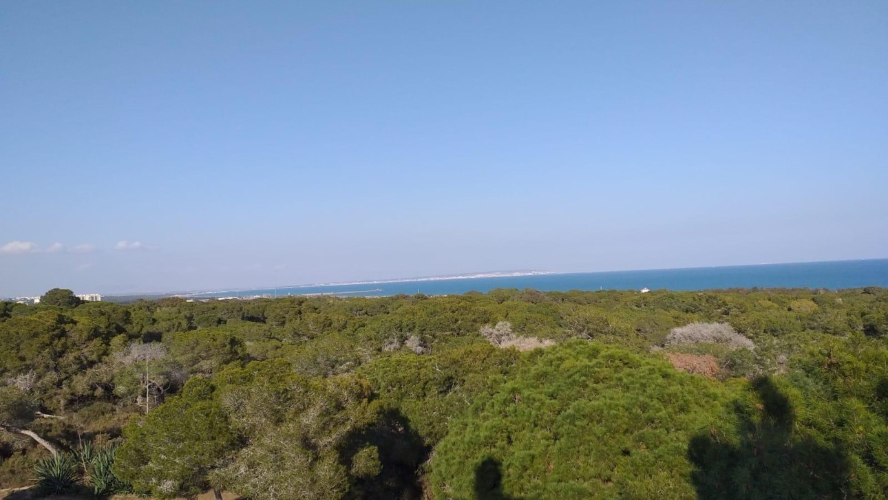 New Build - Penthouse - Guardamar del Segura - Pueblo