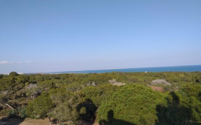 New Build - Penthouse - Guardamar del Segura - Pueblo