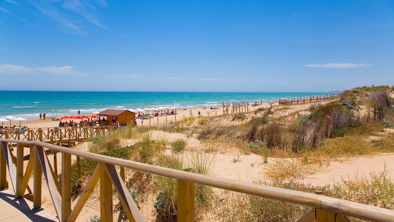 Новое здание - Apartment - Guardamar del Segura - Pueblo