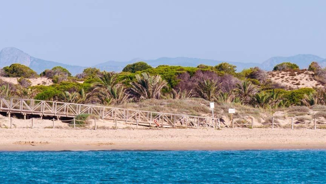 Новое здание - Пентхаус - Guardamar del Segura - Pueblo