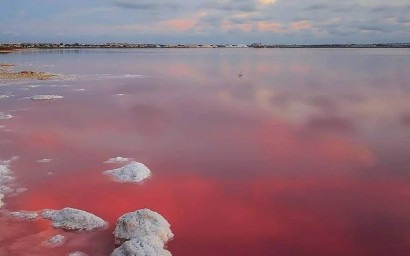 New Build - Bungalow - Torrevieja - Lago Jardín II