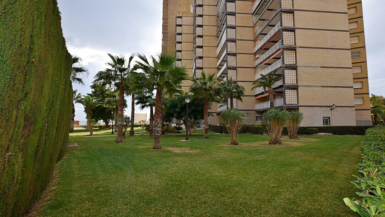 Resale - Apartment - Orihuela Costa - Dehesa de campoamor