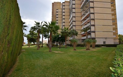Resale - Apartment - Orihuela Costa - Dehesa de campoamor