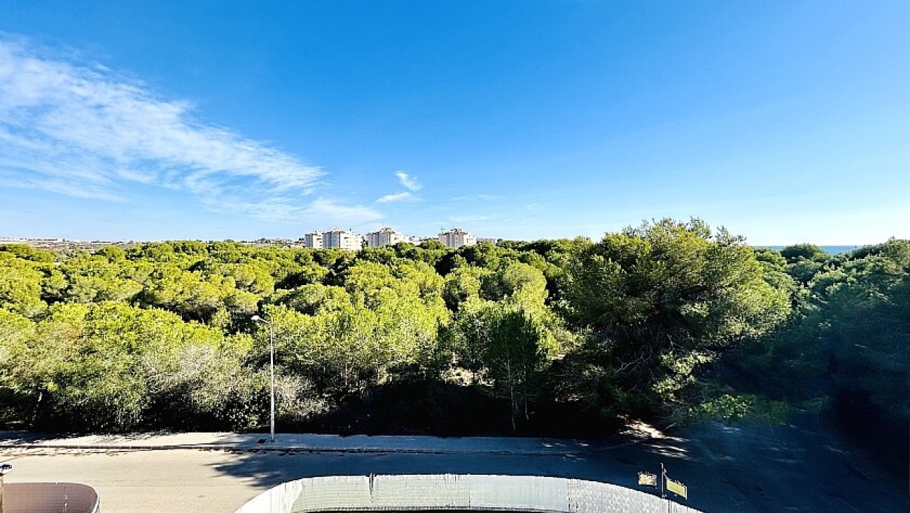 Resale - Villa - Orihuela Costa - Dehesa de campoamor