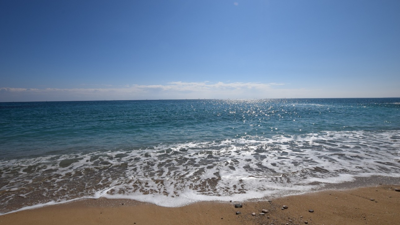 Reventa - Apartment - La Mata