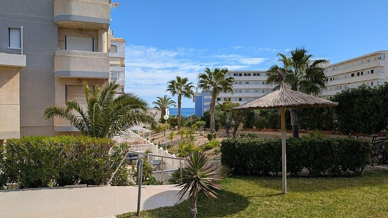 Resale - Studio - Torrevieja - Torreblanca