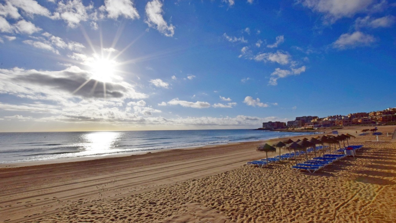 Reventa - Parcela / Terreno - La Mata