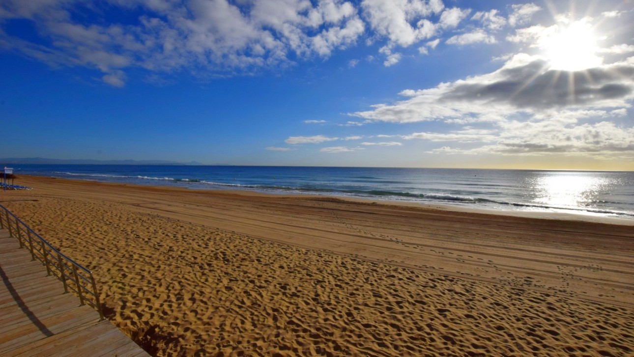 Reventa - Parcela / Terreno - La Mata