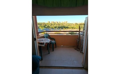 Reventa - Apartment - Mil Palmeras