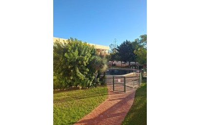 Reventa - Apartment - Mil Palmeras