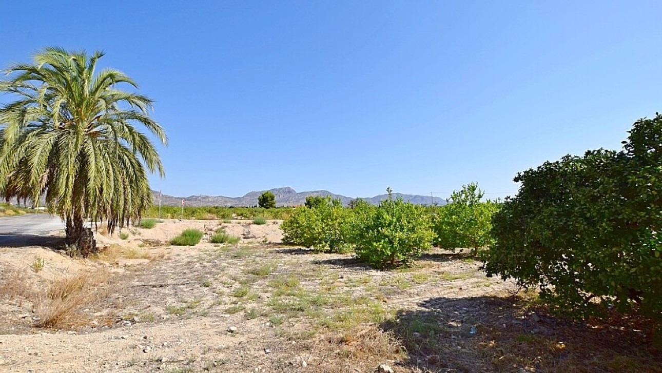 Resale - Villa - Albatera