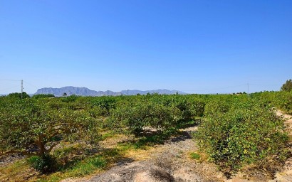 Resale - Villa - Albatera