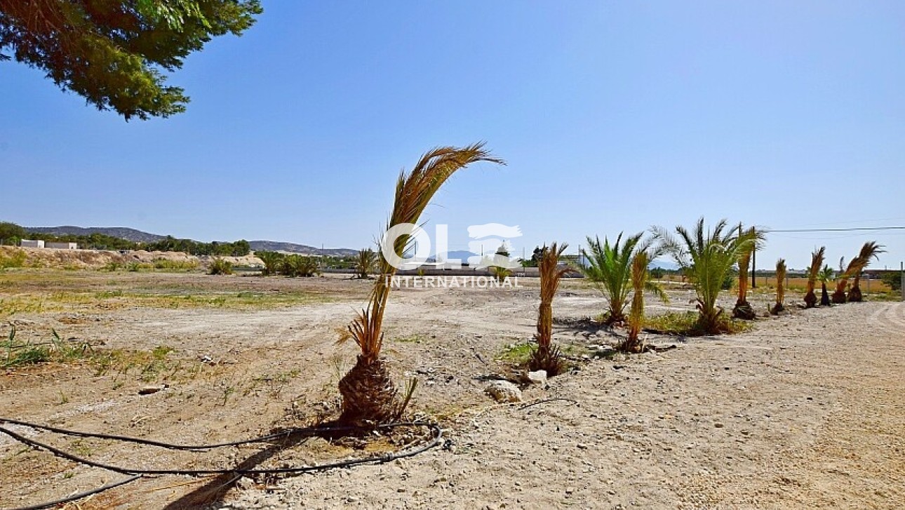 Перепродажа - Villa - Orihuela Costa - Orihuela
