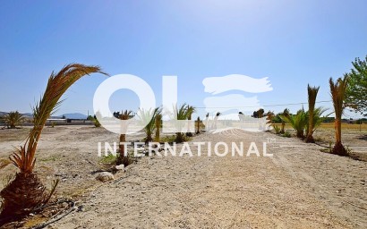 Перепродажа - Villa - Orihuela Costa - Orihuela