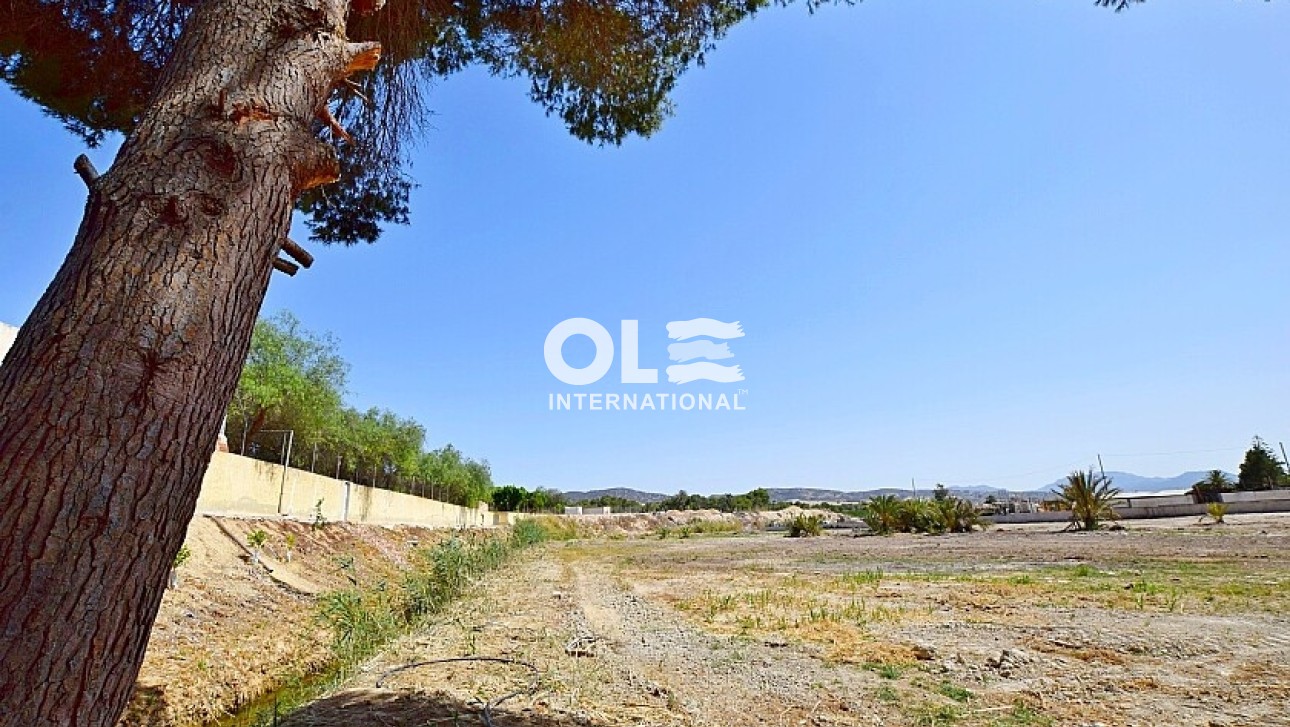 Перепродажа - Villa - Orihuela Costa - Orihuela