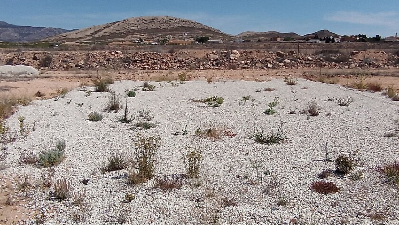 Resale - Land - Jumilla - Torre del Rico