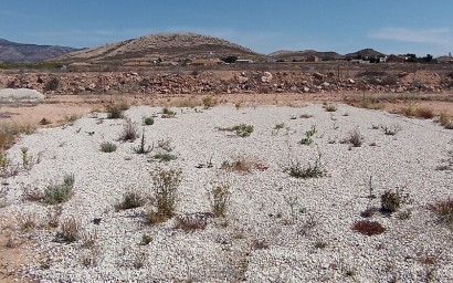 Resale - Land - Jumilla - Torre del Rico