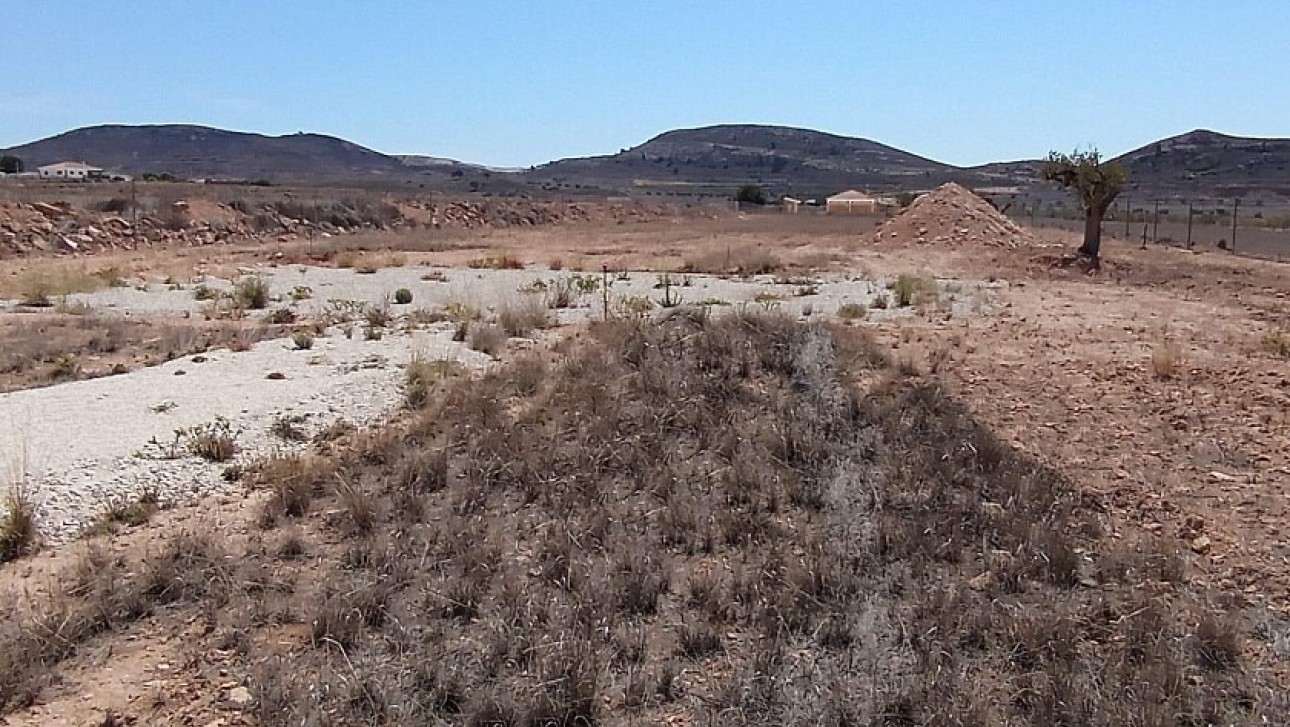 Resale - Land - Jumilla - Torre del Rico