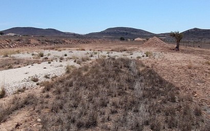 Resale - Land - Jumilla - Torre del Rico