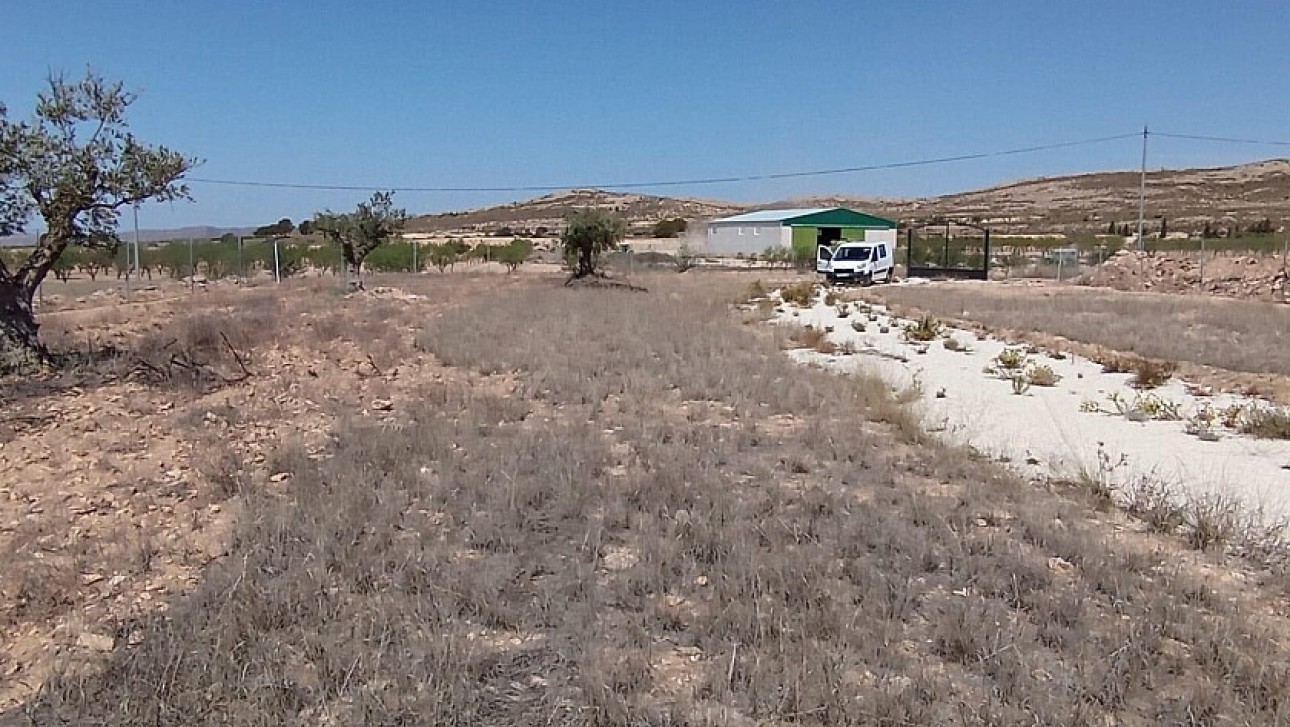 Resale - Land - Jumilla - Torre del Rico