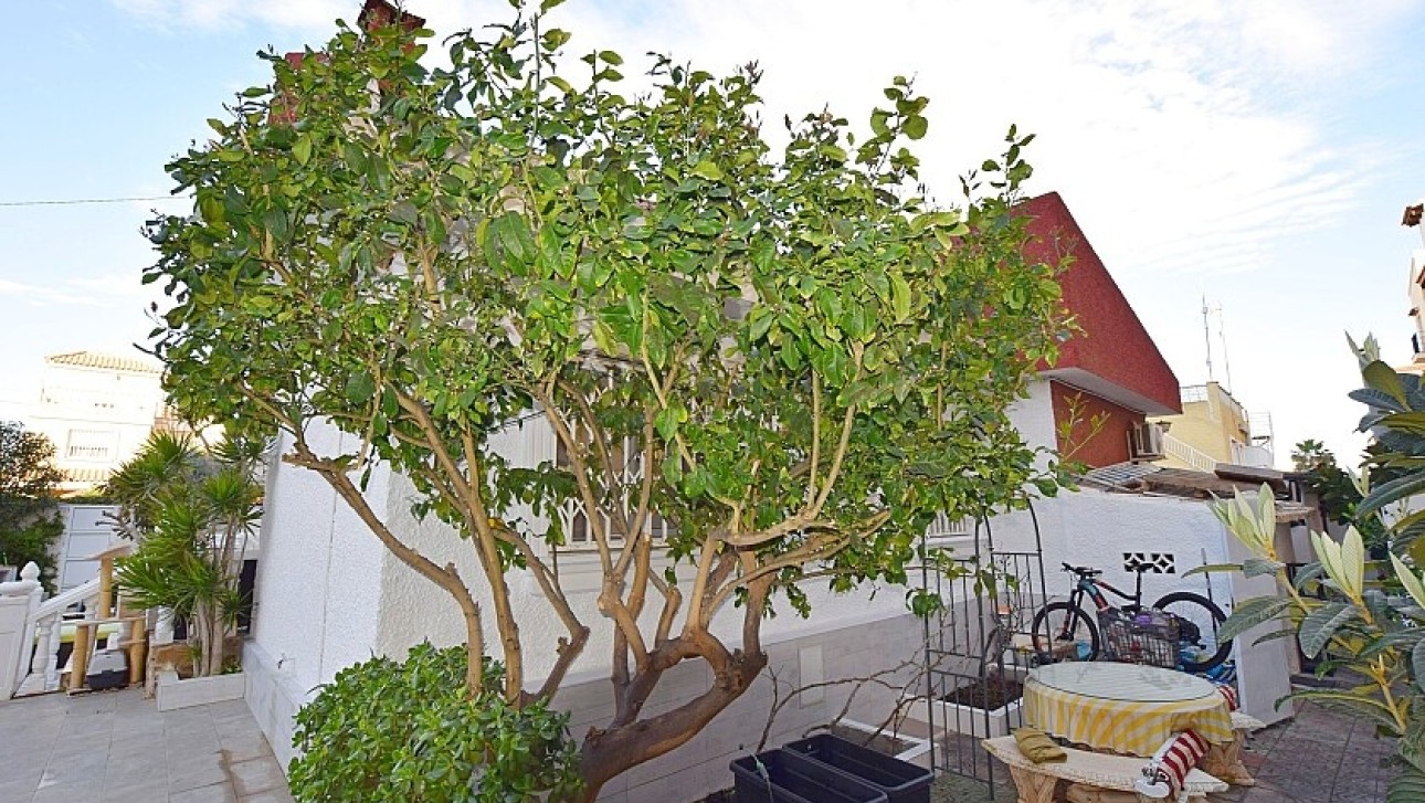 Herverkoop - Villa - Torrevieja