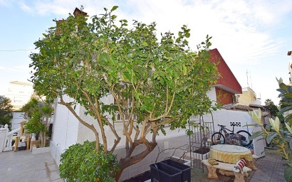 Herverkoop - Villa - Torrevieja