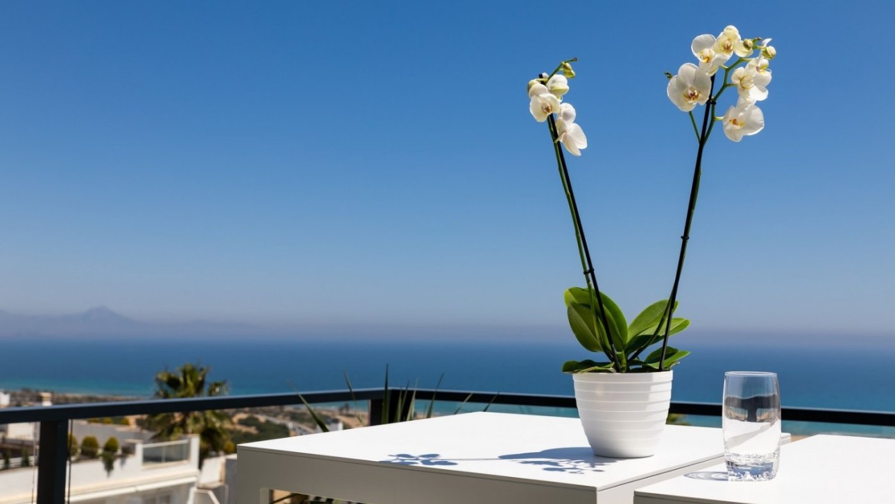 Новое здание - Apartment - Santa Pola - Gran Alacant