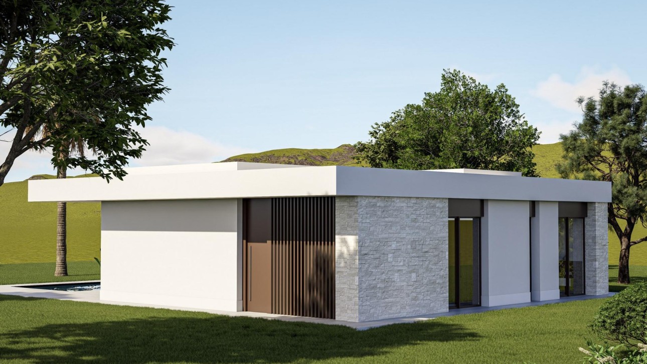 Новое здание - Villa - Pinoso - Lel