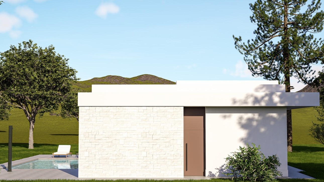 Новое здание - Villa - Pinoso - Lel