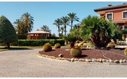 Herverkoop - Villa - Elche